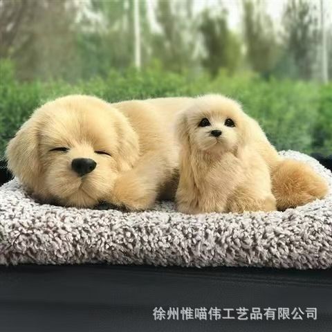 Madre-hijo Labrador frontal squat + gris peludo