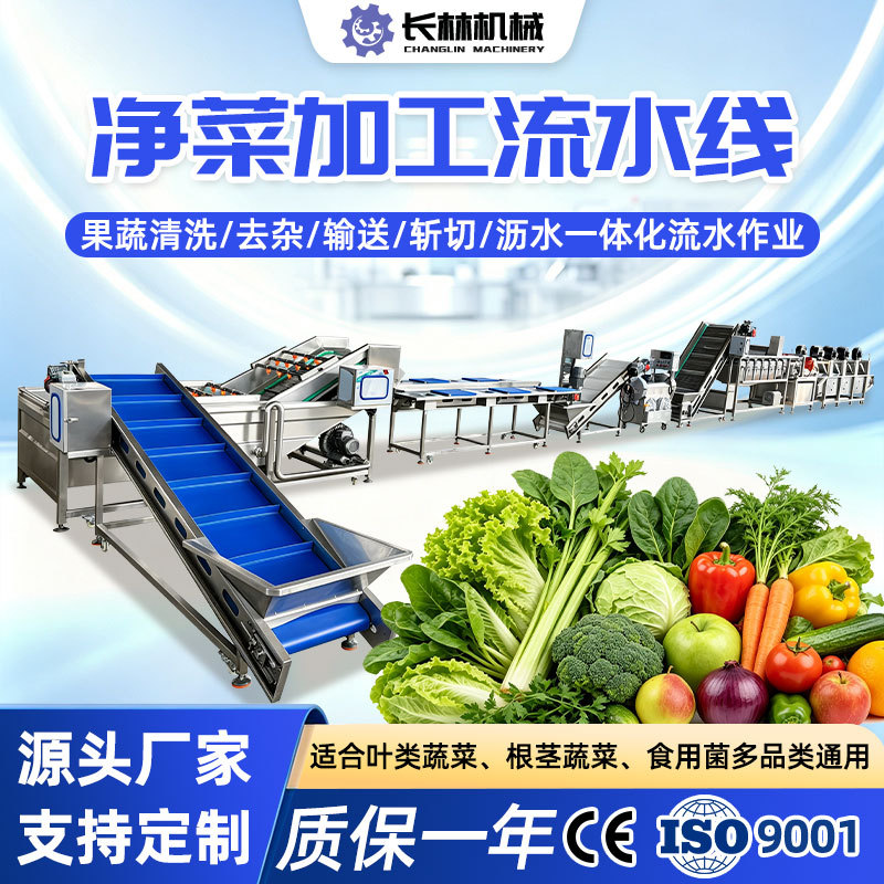 商用气泡清洗机中央厨房净菜加工流水线菠菜野菜青菜全自动洗菜机