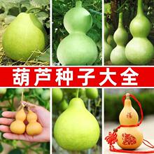 ���J�N�ӷN�Ѳˈ@���Բ˺��J�ƺ��J�����J����С���J��ʳ�ù�ˇƷ