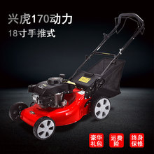 兴虎动力手推自走汽油四冲程草坪修剪机18寸20寸割草机