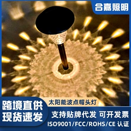 草坪灯;太阳能灯;景观灯