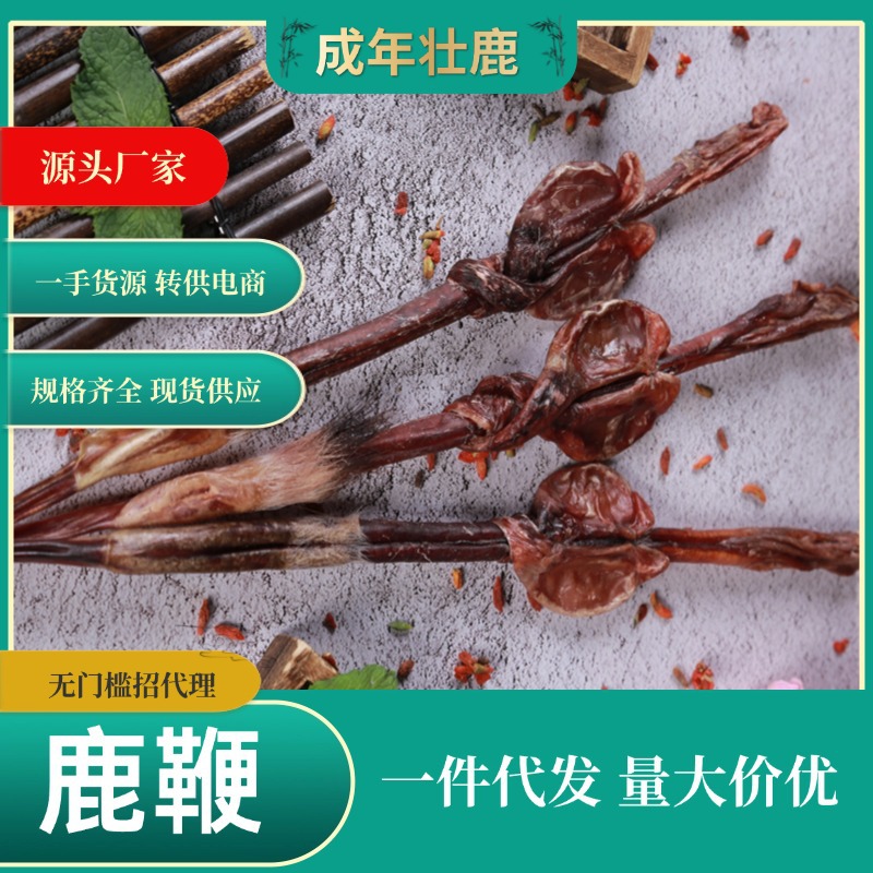 整条干鹿鞭成年壮鹿鹿鞭