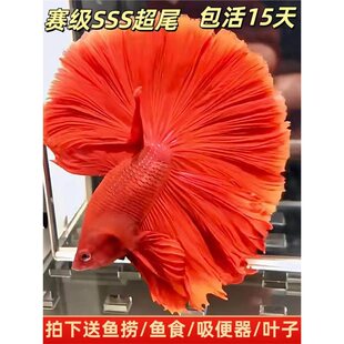 ̩�����~�W�t���t�ۼt�t�����ؔ�~���ô�����Ꭷ��ˮ�����~