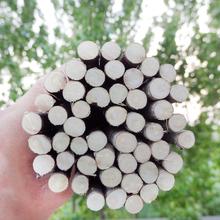 Ұt֦45cm200½⴮ӟӼtľ⺞