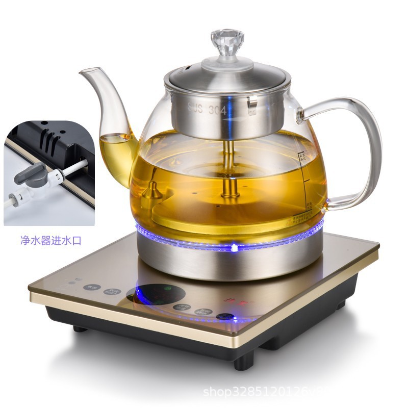 골든 + 스팀티 ((정수기 모델) 색상을 확인할 수 있습니다)