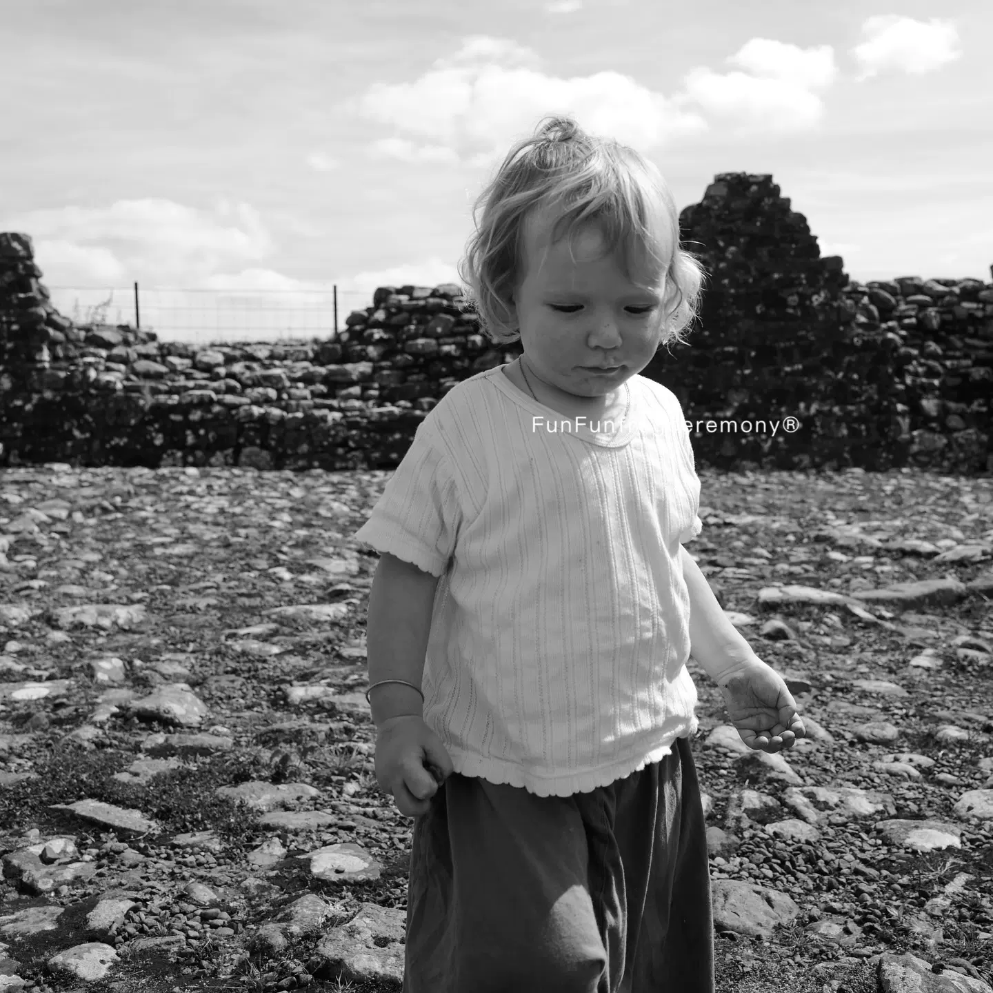 2061立领毛衣2025黑田布秋冬毛衣男童加厚毛衣开衫现货现货