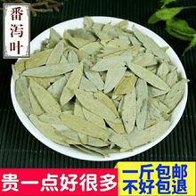 番泻叶食用泻叶茶 去油番茄叶  番泻叶茶可打粉批发