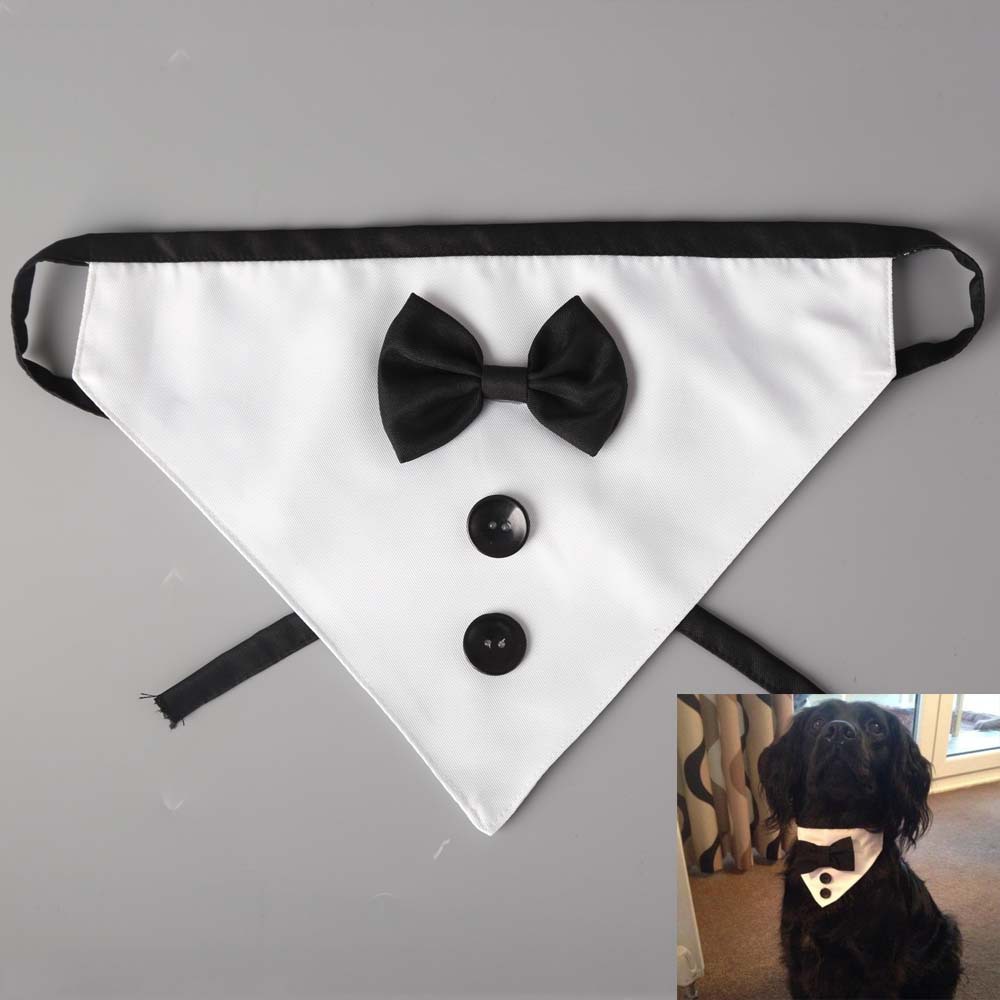 Nuevo Tanpopo transfronterizo mascota perro triángulo bufanda saliva toalla boda pajarita traje ropa de mascotas bufanda