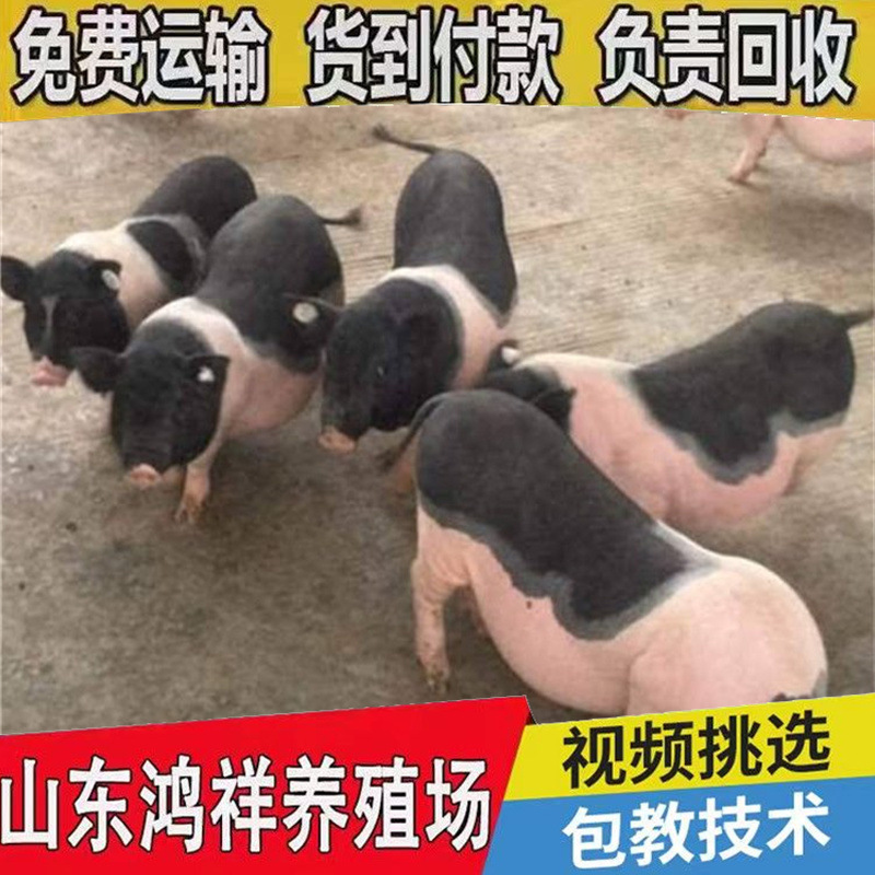 u=327625703,737359477&