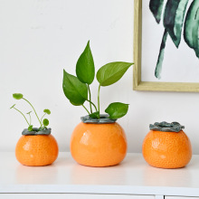 �������ӾG�}ˮ�໨ƿ�������~�޲廨ƿ��ˮ�Bֲ�ﻨ������С�[��