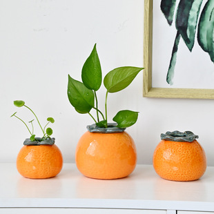 Creative Orange and Green Radish Hydroponic Vase Container Tea Can Flower Arrangement Bottle Water Plant Flower Pot Desktop Small Ornaments
