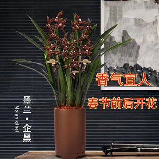 �m����ī�m��ڝ����͈�q�m�ͺ��ͺ������҃��k���Һ��B�Gֲ����