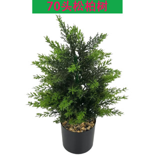 �羳�����}�Q��70�^50cm�ɰؘ�����͏d���ԑ��Ⲽ���[���Gֲ�b�