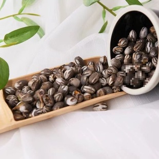 �����ތW������̹���x�}���W�^�����۴�����z����ʳ�ߵ���������