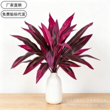 ��ʽ�羳���R�d�ָ���Ѫ�����ľ�~�B��ާ��콶�G�����~�쾰�b�