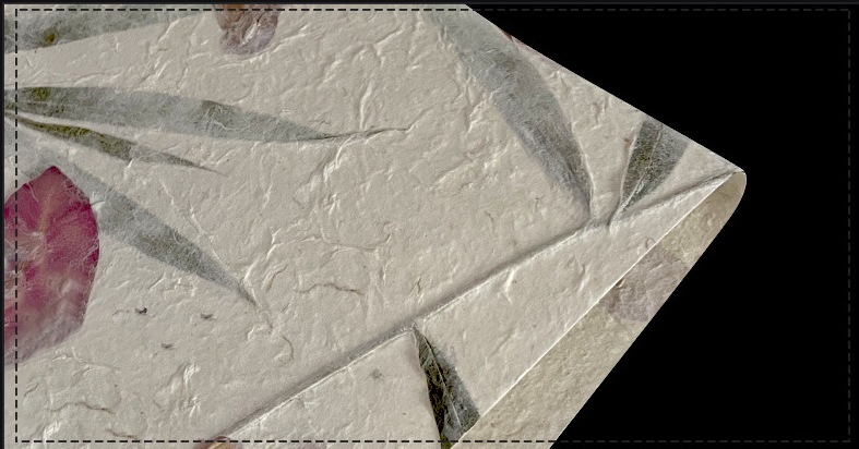 태국 대나무 잎 붉은 꽃 150*90cm