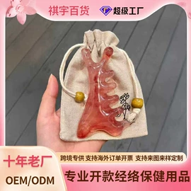 经络保健器材;美发梳;洗衣球