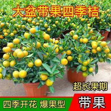 �ļ��۽��������۴����Ԏ�����ʳ�ô�����ؔ���҃��̨��������