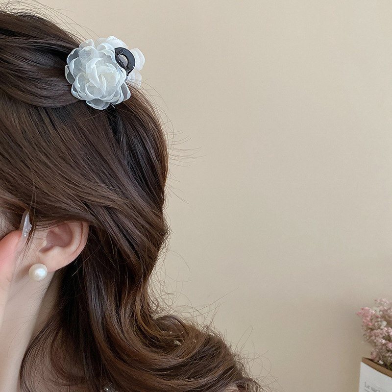 Carpeta de agarre de palabra redonda de color café, clip de tiburón de pelo de disco de alta gama retro, personalidad simple y de moda, nueva horquilla, accesorios para el cabello