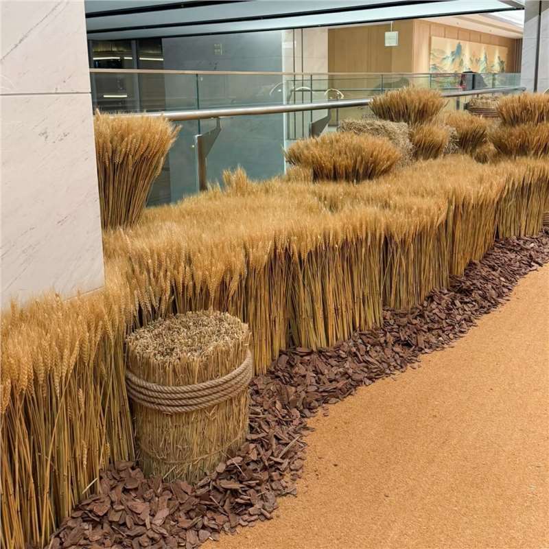 Wheat Field Barley Ears Creative Ornaments Exhibition Autumn Harvest Golden Pastoral Landscape Window Decoration Dried Flowers Autumn Decoration