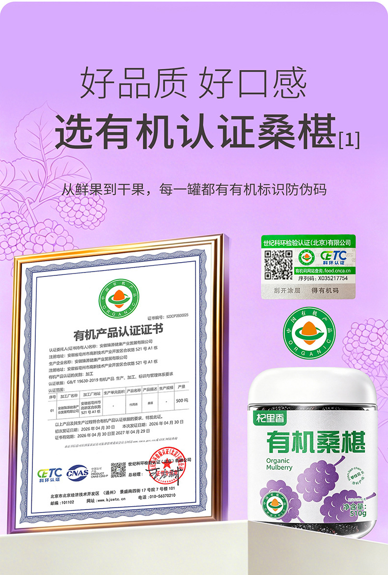 Organic Dried Mulberry Fruit 510g Round Jar Panzhihua Sang Shen Dried Mulberries for Tea and Wine overview