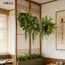 ����Gɫֲ��ɭϵ�҃ȴ������е���d�Ƶꙻ���컨��Ҹ��b�