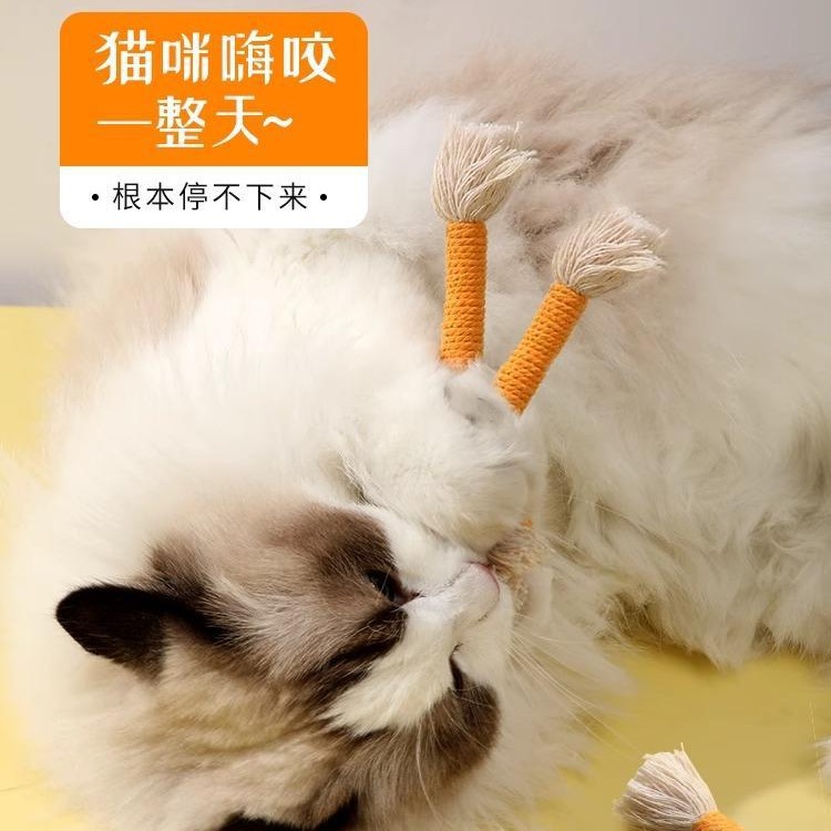 Gato muerde la cuerda Juguetes para gatos Artefactos para aliviar el aburrimiento