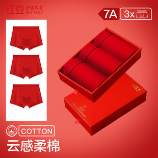 �t��ϲ�c���\노�����7A�־������d��Ů��ѝ3�l����������t��ѝ