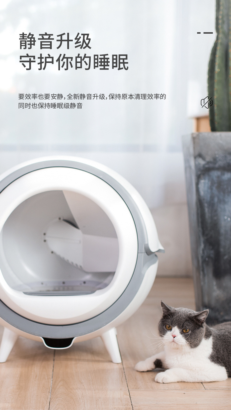 12.jpg?x-oss-process=image/format,png