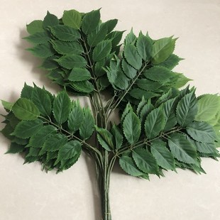 ɣ���~��֦�Θ��~�����~�������~�G�~�Ӽ�ɣ�~�Ҙ��~�Ř�֦�~