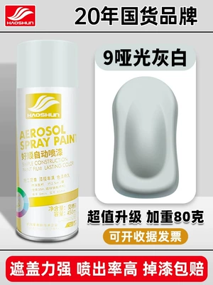 Paint Matte Black Paint That | Avtomobil boyası - matte-gray-450mlbottle