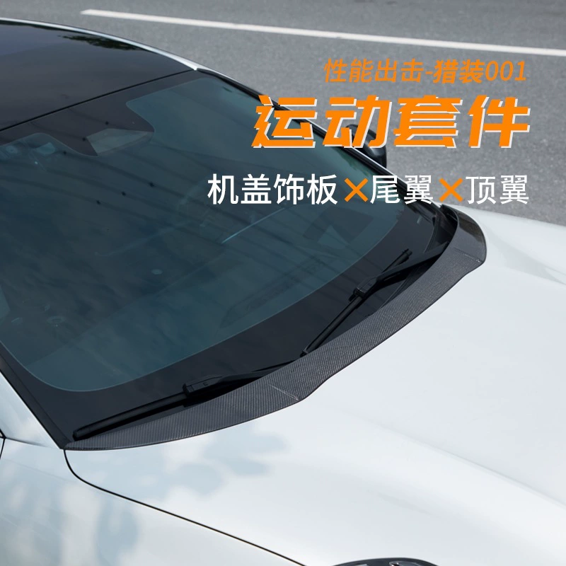 Применимо к экстремальной крышке Typrip-001 с отделкой из углеродного волокна с неразрушающим заднее крылом