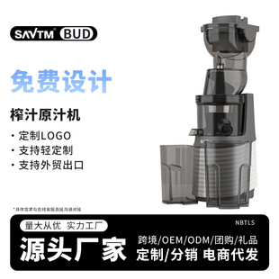 Shiweite Customized Cross-Border Juicer Juice Residue Separation Juicer Fully Automatic Residue Juice Slow Grinding Large Diameter Juice Machine