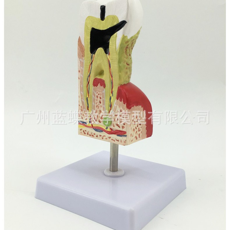 ����ģ�� ���ݲ��ۺϲ���ģ�� ���ݽ�������ģ�� ���� ҽ����ͨ