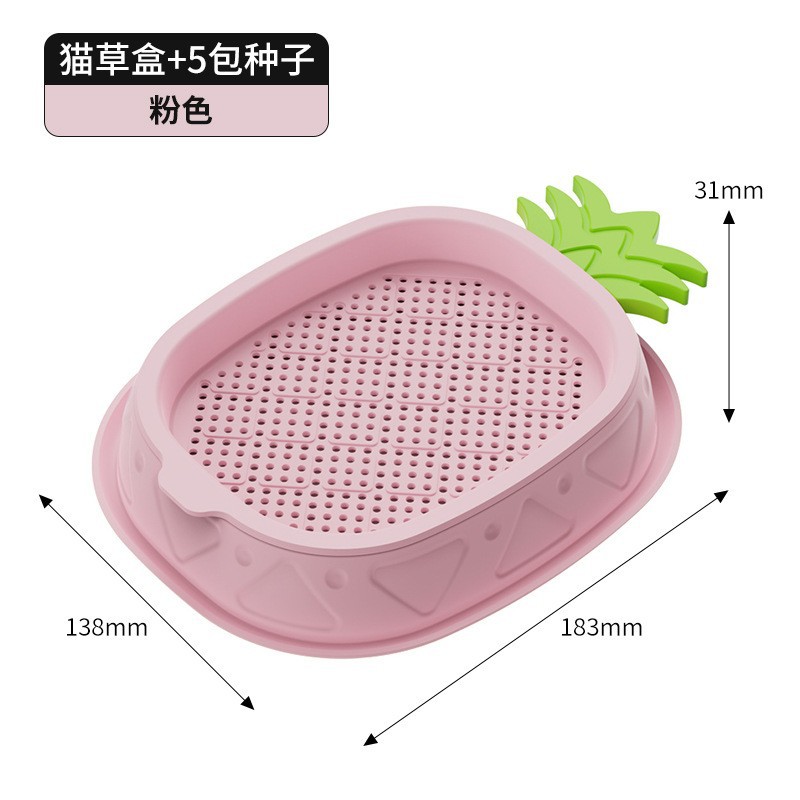 Hierba de gato al por mayor semillas de trigo semillas caja hidropónica plantas en maceta rebanadas de bolas de pelo desechadas listas para comer bocadillos de menta para gatos suministros para gatos