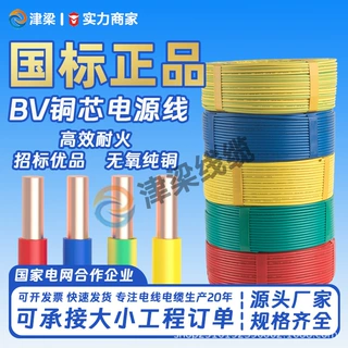 国标铜芯电源线BV家装绝缘电线4/6/10平方户外开关硬线插座电缆线