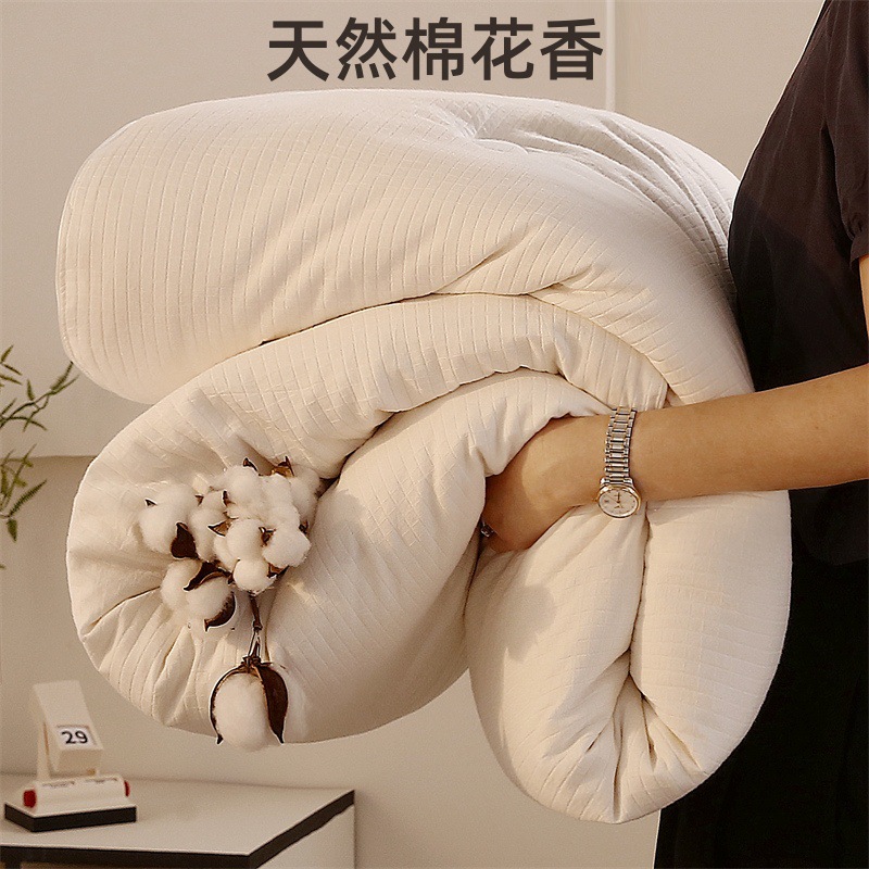 100% Xinjiang Long-Staple Cotton Akso Cotton Quilt Cotton Batting All-Cotton Spring and Autumn Quilt Core Wholesale Soft Quilt