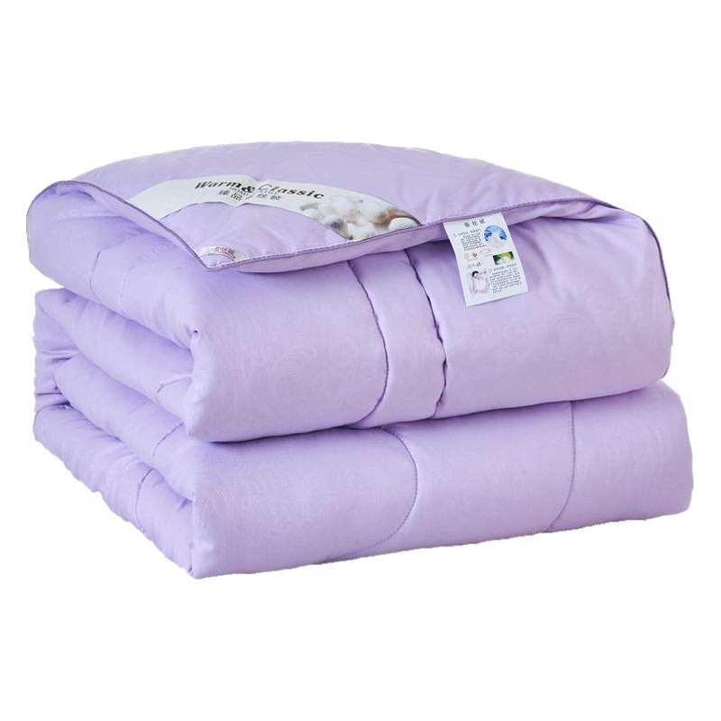 Direct Selling Thickeneded Feather Silk Quilt Winter Quilt Core Dormitory Single Quilt Quilt Core Spring & Fall Quilt Core Hotel Quilt Core