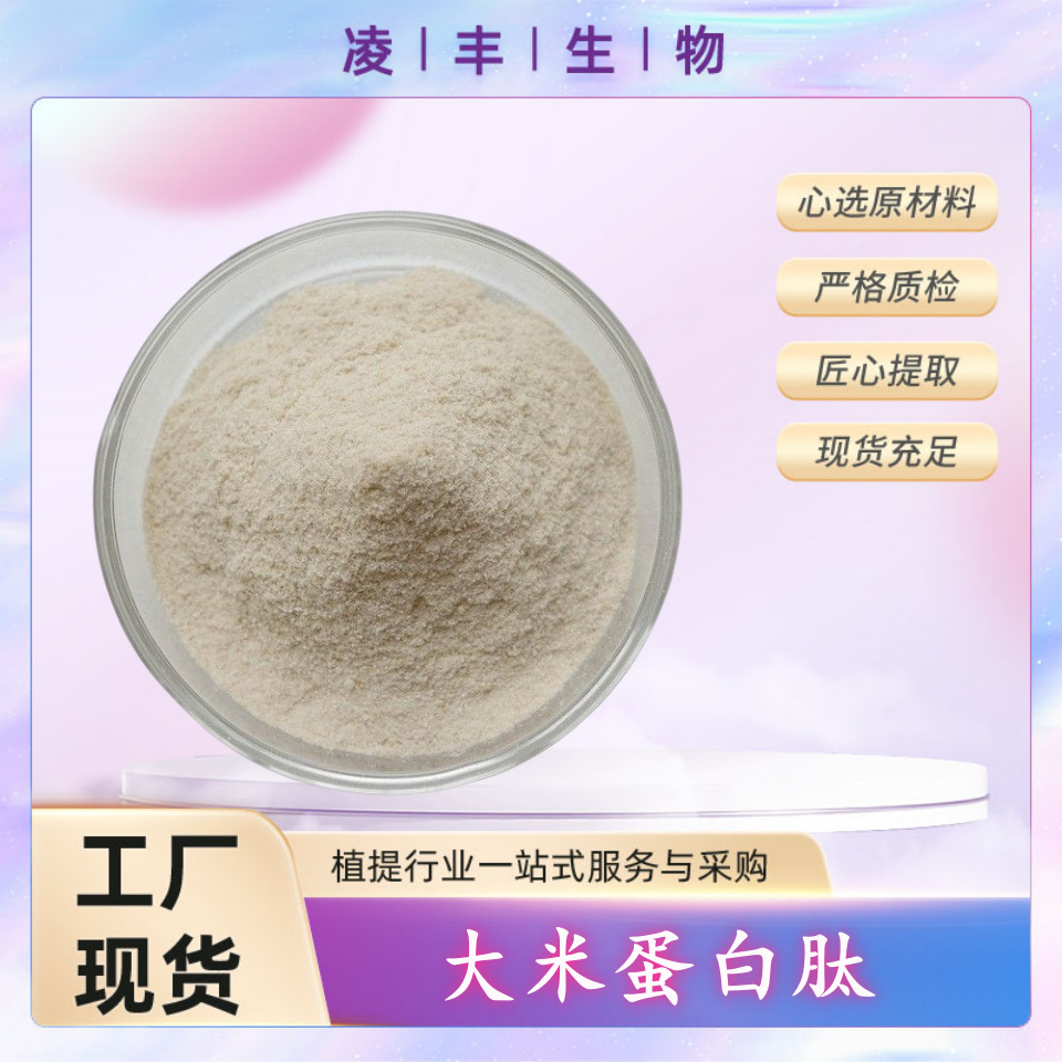 大米蛋白肽98% 大米肽 大米多肽 植物蛋白粉 厂家直销 现货