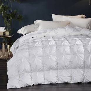 Colorfolul.Home New Down Quilt Hotel Quilt Core Thickened Winter Quilt White Goose Down Quilt Single Double