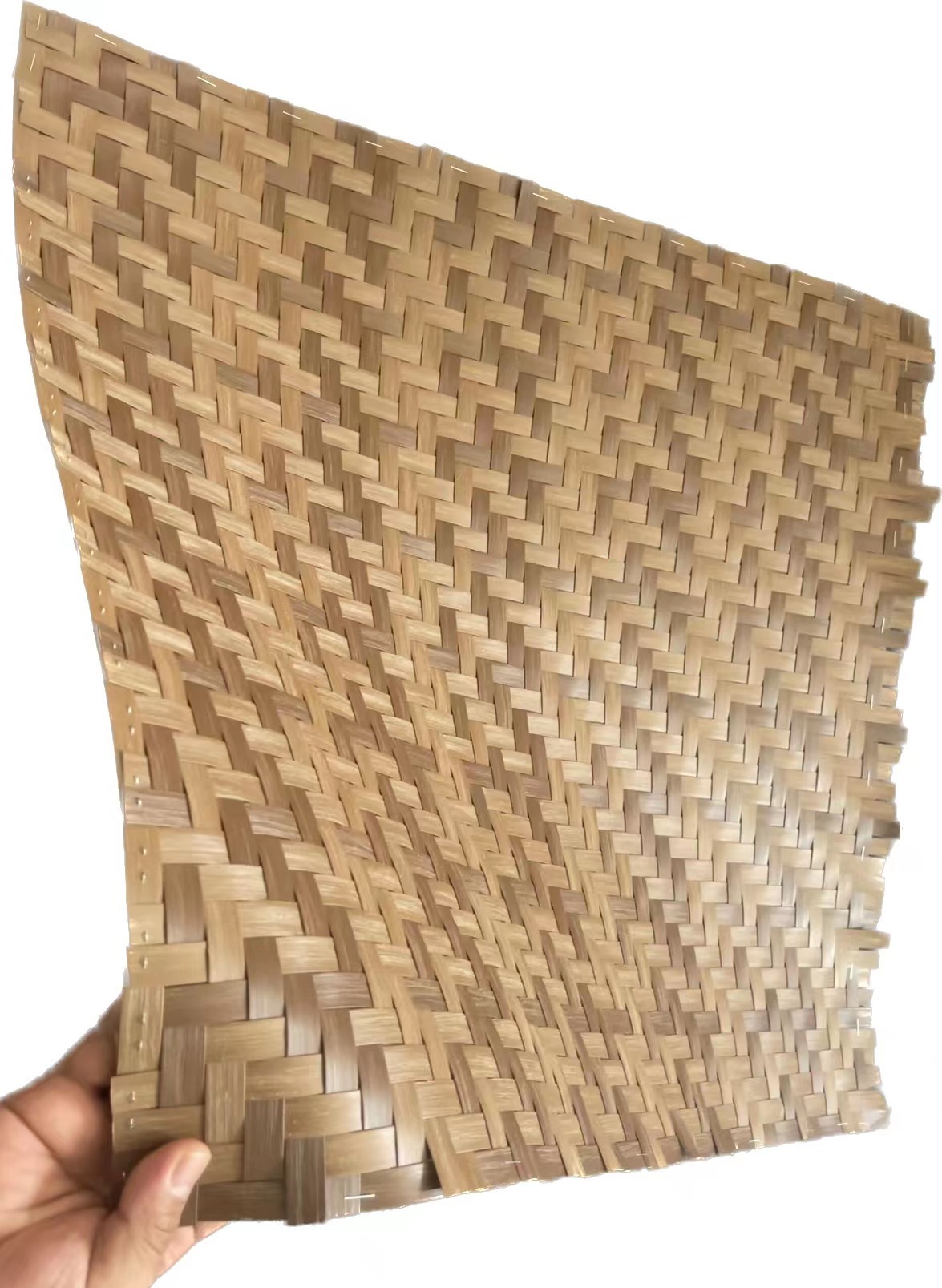 微信图片_20231020074028