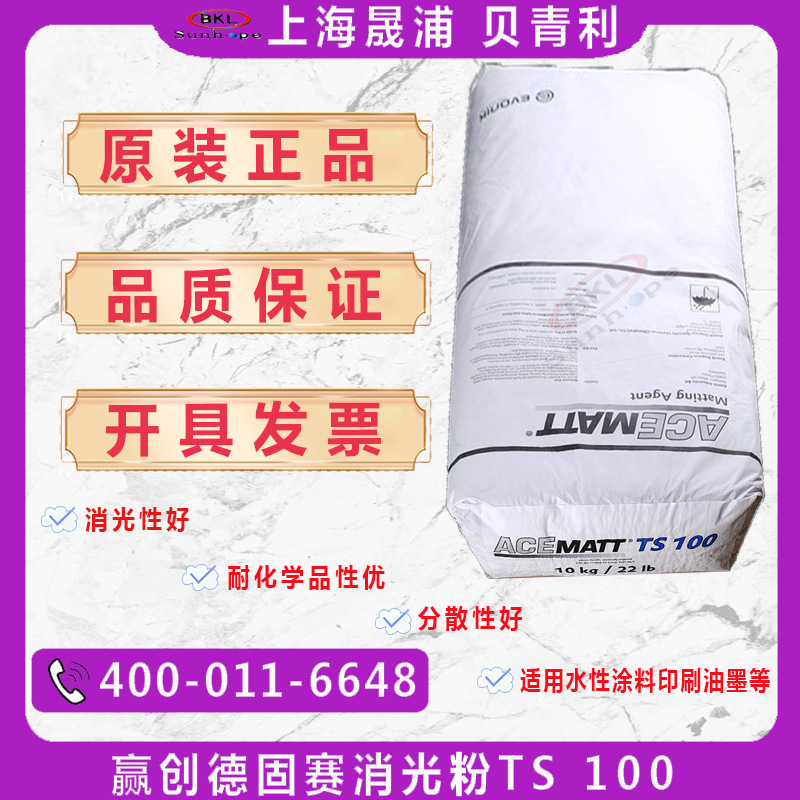 赢创Evonik德固赛消光粉TS-100哑光粉TS100气相法TS100涂料面漆用