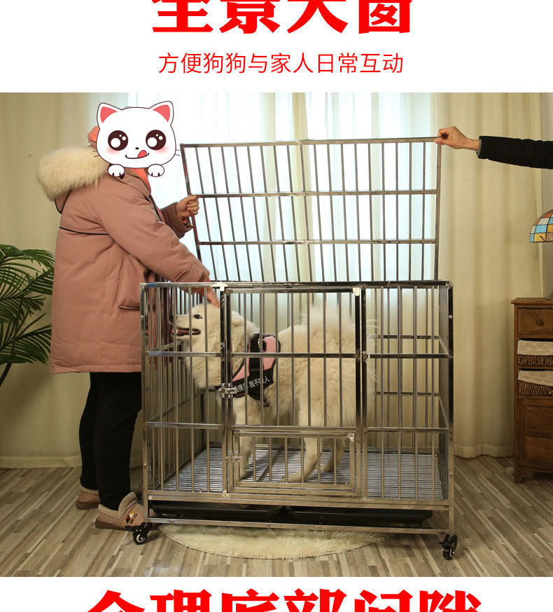 b49e1a6a-6b71-43c0-87bb-e0d8ce5cda1b.jpe