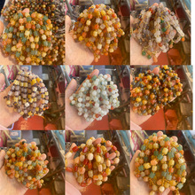 ֱ�������½���z����朸�ڲ����һ�ᄆ�Ȧ�����ɽ��Ů�����ִ�