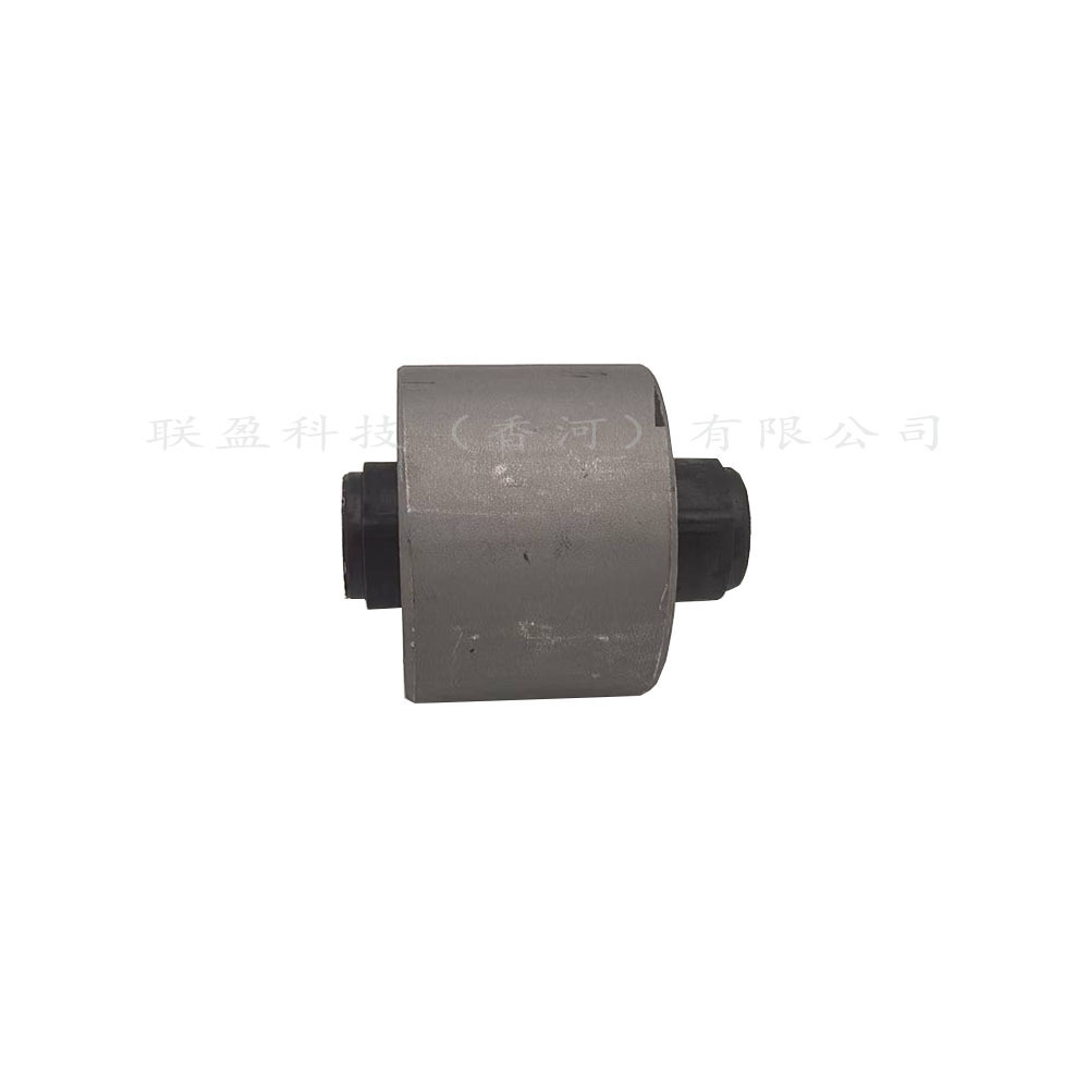 Hyundai 551601E000 Rear Axle Beam Bushing for Hyundai Kia 55160-1E000 (Suspension and Shock Absorber Systems)