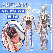 �ƽ�ǰ���������������w���ٹ���ģ��DIY�M�b�Ƽ�С����ƴ�b