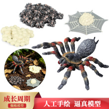 �羳���挍�ă�ͯ�̾����x����ģ�����b֩����L���L������ߔ[��