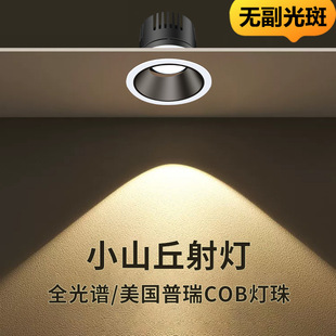 Preh Embedded Narrow Side Downlight Spotlight COB Hill Anti-glare Household Living Room Lighting Wall Washer Lamp