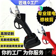 �¿�����˹����_����֦��늄Ӽ������ʽ�@����֦��������֦��