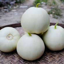 ��ɳ����ϷN�Ӱ׹���ϷN���r��ͥԺ�Ϲ��N�����l�S��ԭ�b��Ʒ